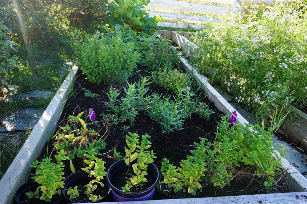 Frugga Feriehus Og Leilighet Straumsjoen Ngoại thất bức ảnh