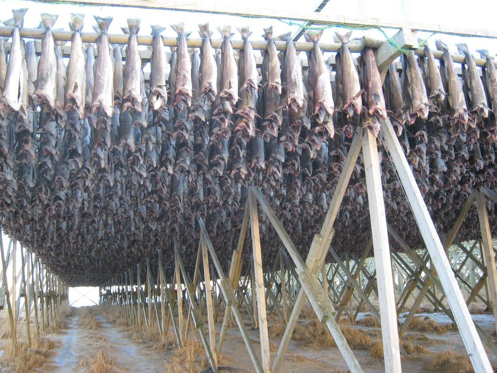 Frugga Feriehus Og Leilighet Straumsjoen Ngoại thất bức ảnh